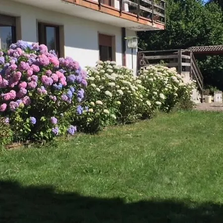 Immersa Nel Verde A Apartament *