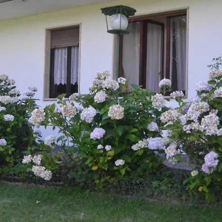 Immersa Nel Verde A Apartament